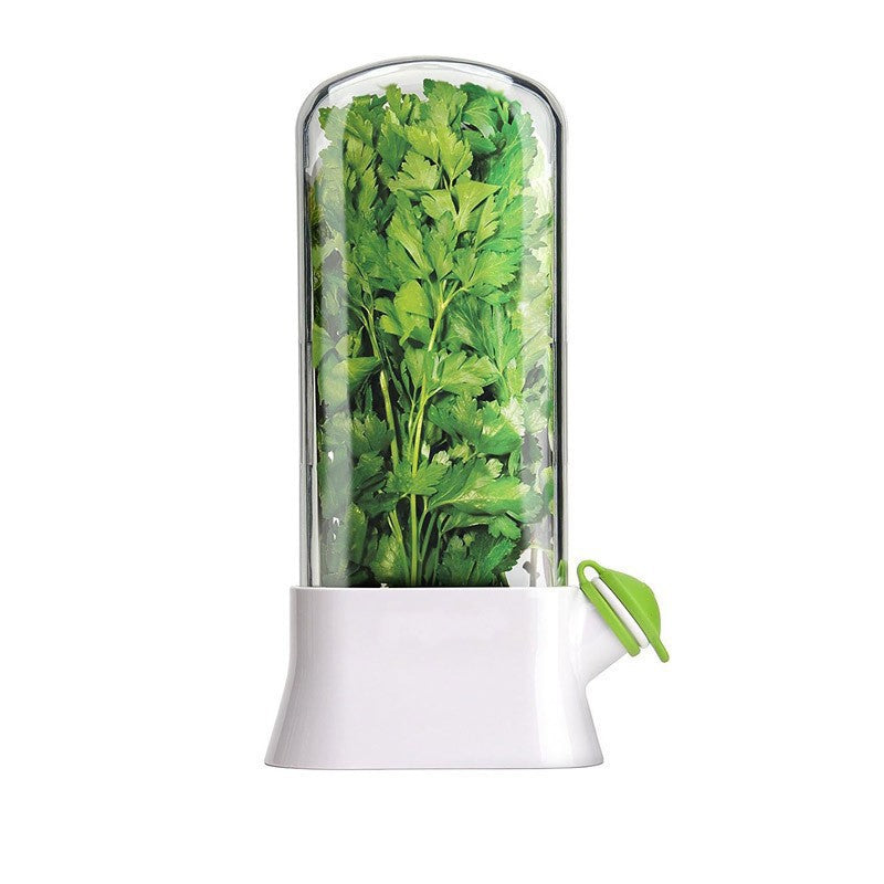 Vanilla vegetable fresh-keeping box pressure resistant fresh-keeping device creative fresh-keeping cup - V.I.P Digital Presence