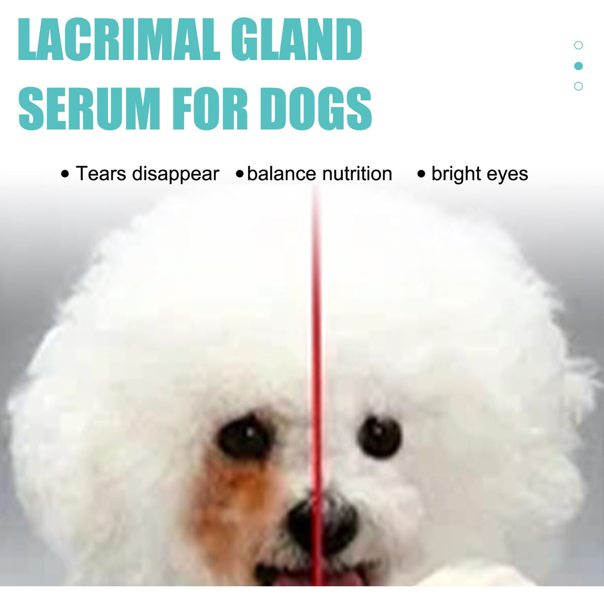 Tear Duct Serum For Dogs, Cats And Dogs Removal Eye Poop Pet Topical Eye Tear Stain Serum