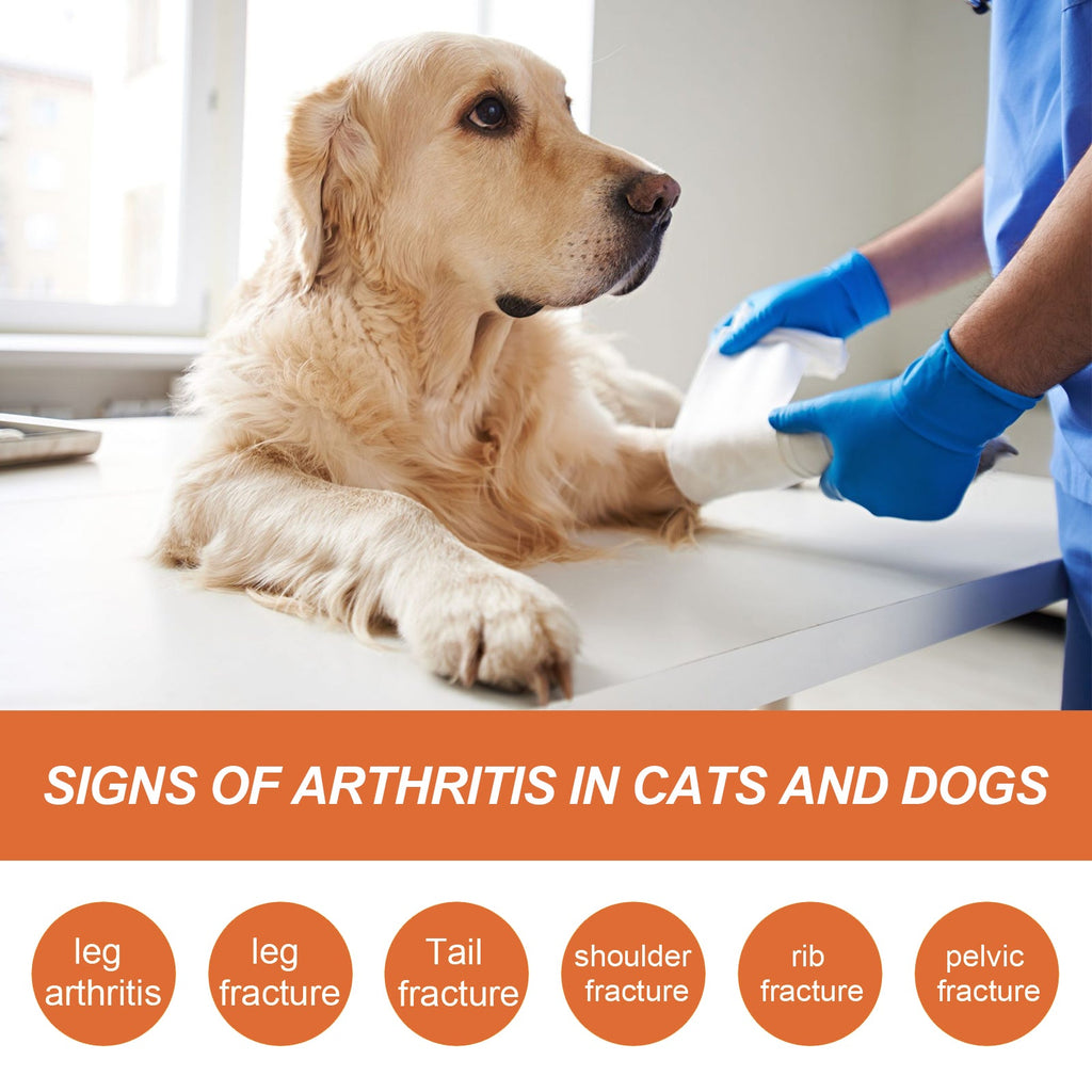 Pet Joint Repair Spray, Relieve Pet Joint Discomfort Muscle Weakness Pet Joint Care Spray
