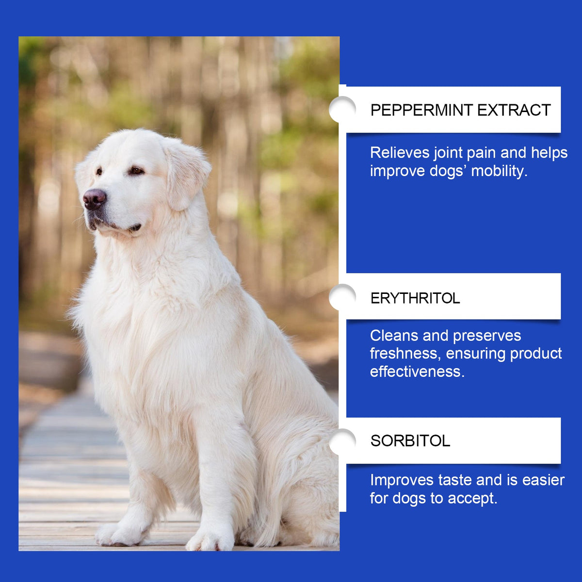Pet Dog Joint Supplement To Enhance Nutrition Care Joint Health Pet Joint Care Agent
