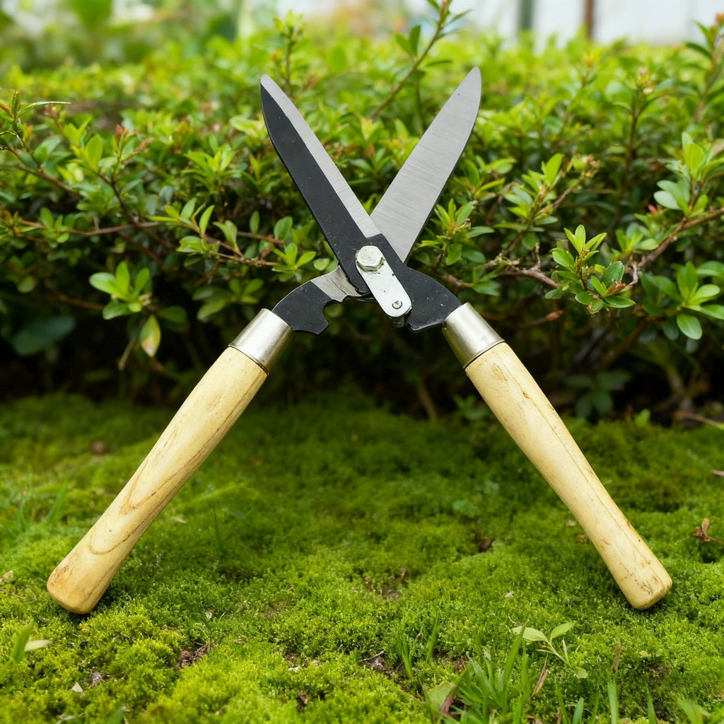 Carbon Steel Hedge Shears with 11-Inch Straight Blades and Paired Walnut Handles for Shrub Trimming — image 2