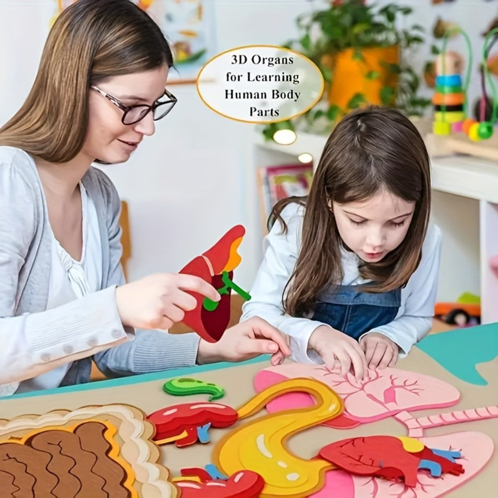 Human Body Felt Board Anatomy Model – 3D Felt Organ Science Educational Toy for Kids Ages 5+, Homeschool Biology Classroom Te