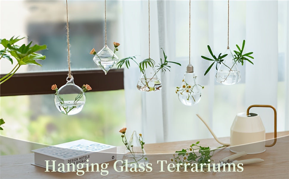 Hanging Planter | Glass Terrarium Hydroponic Air Plant Wall Decor Home — image 6