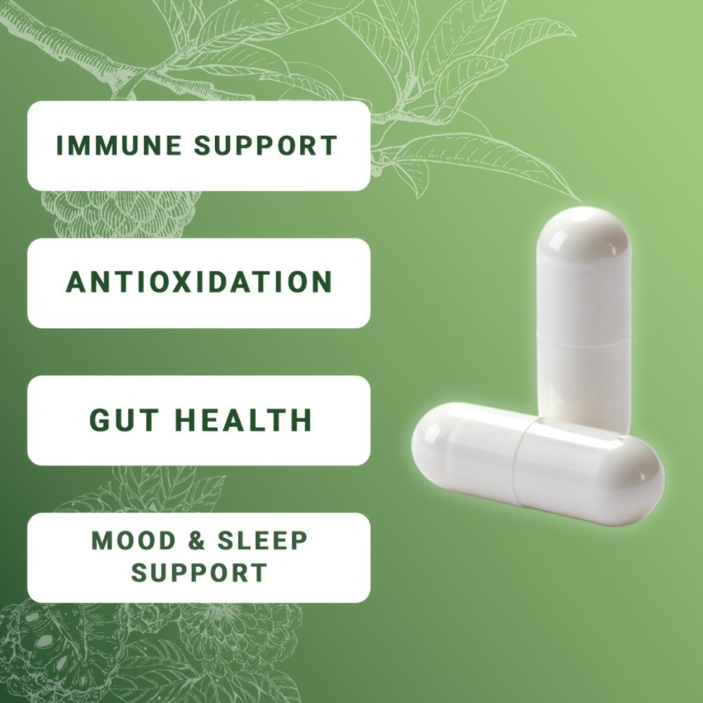 Dietary Supplement Sea Moss 24-in-1 Capsules with Soursop, Lion’s Mane and Shilajit, One or Two Bottles — image 11