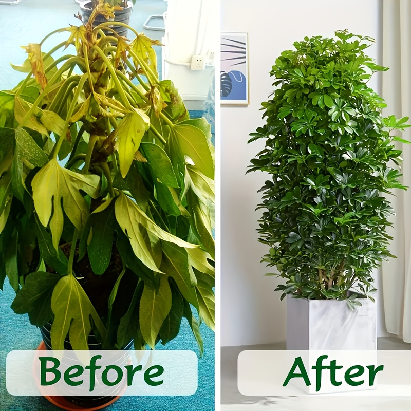 Coco Coir Bricks Natural Coconut Fiber Planting Soil | Compressed Coir Block Expands 6x for Hydroponics Potting Mix Garden Be