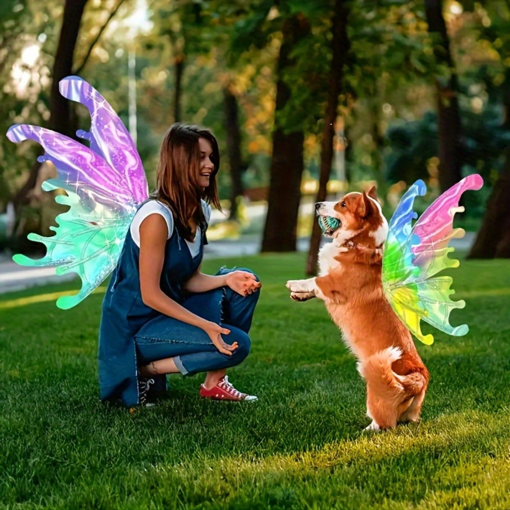 LED Fairy Wings USB Rechargeable Light Up Butterfly Wings for Girls with the Listed Color, Size or Set Options for Everyday U