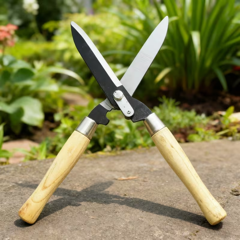 Carbon Steel Hedge Shears with 11-Inch Straight Blades and Paired Walnut Handles for Shrub Trimming — image 4