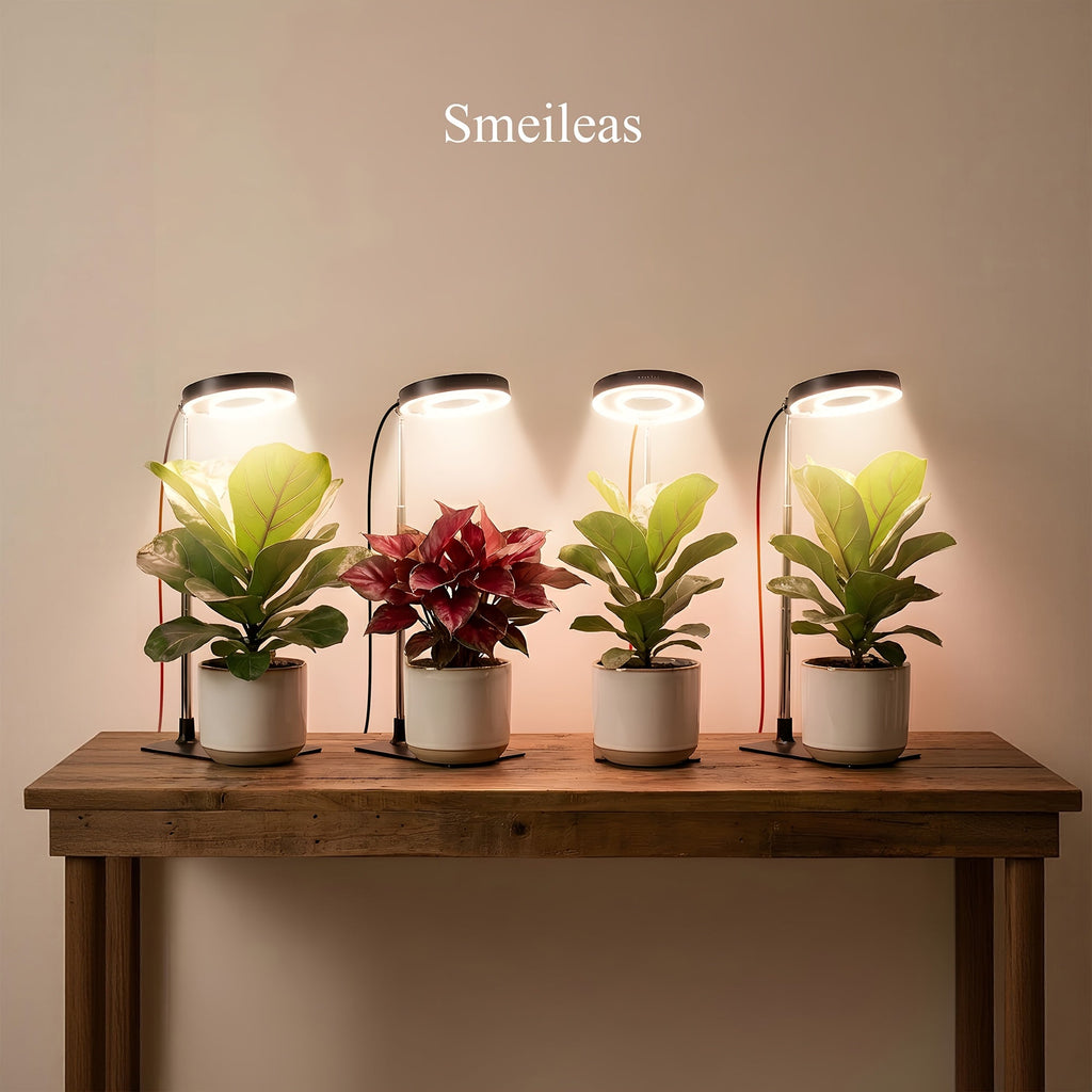 Four-Piece Tabletop Ring LED Plant Lamp Set with USB 3/6/9H Timer, Adjustable Poles and Bases — image 1