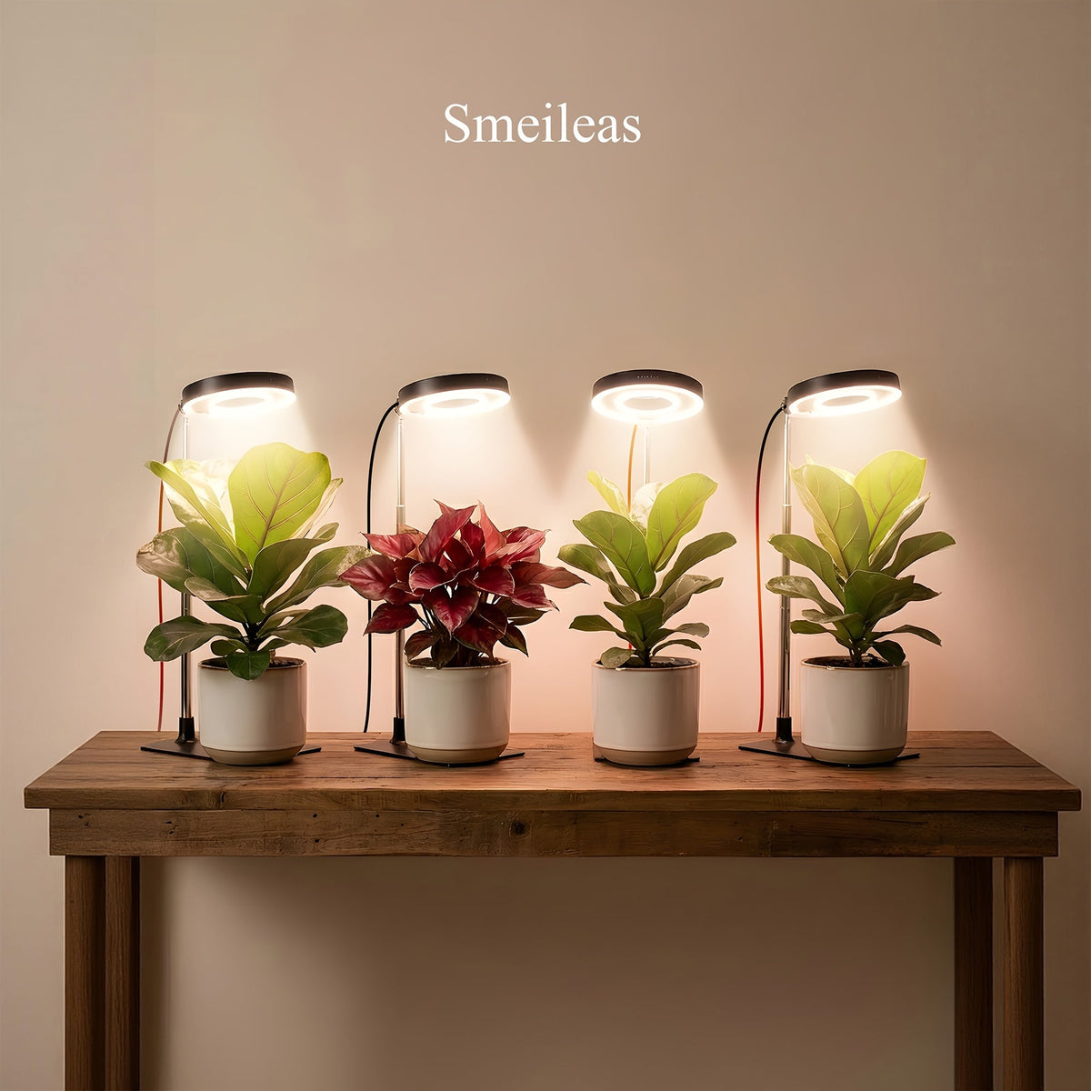 Four-Piece Tabletop Ring LED Plant Lamp Set with USB 3/6/9H Timer, Adjustable Poles and Bases — image 1