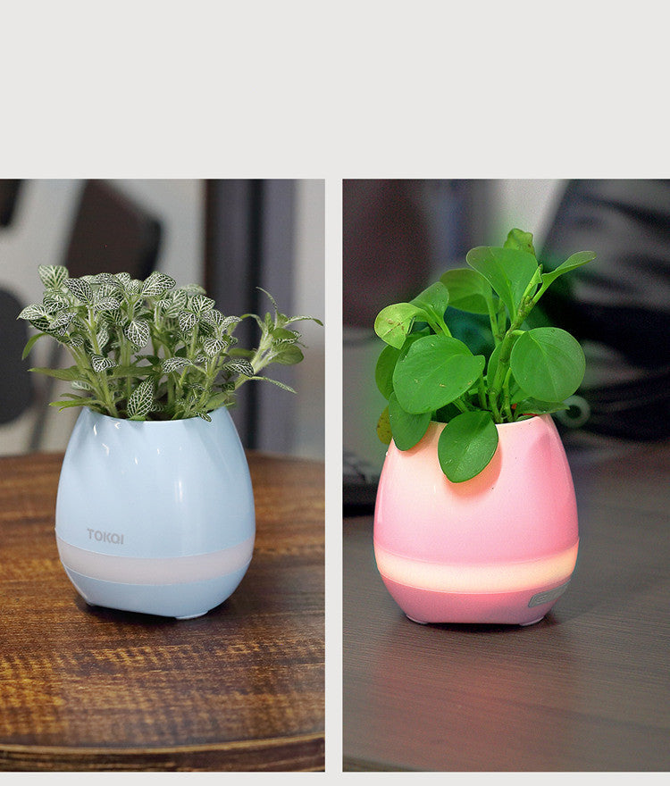 Touch-sensitive music vase desktop audio