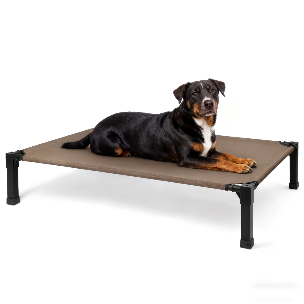 Elevated Pet Cot with Metal Frame, Textilene-Labeled Mesh Deck, Four Sizes and Seven Colors — image 1
