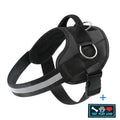 Reflective-Trim Dog Harness in Seven Colors and XS–XXL with Chest Band, Back Ring and Top Handle — image 3