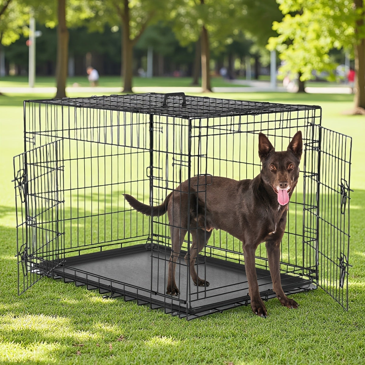 36-Inch Folding Wire Dog Crate with Two Door Accesses, Divider Panel, Removable Tray and Top Handle — image 3