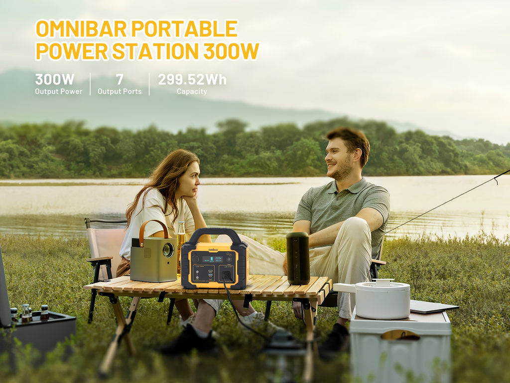 Portable Power Station 294Wh 300W with 600W Peak, Eight Outputs, AC, DC, USB-C and LED Light — image 10