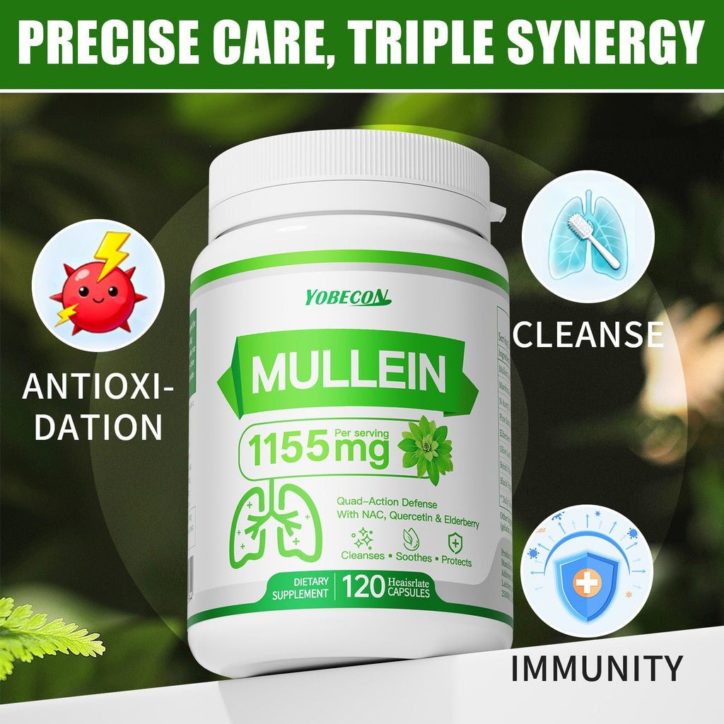 Herbal Supplement with YOBECON Label, Mullein NAC Quercetin Elderberry 1155mg per Serving, 120 Capsules — image 12