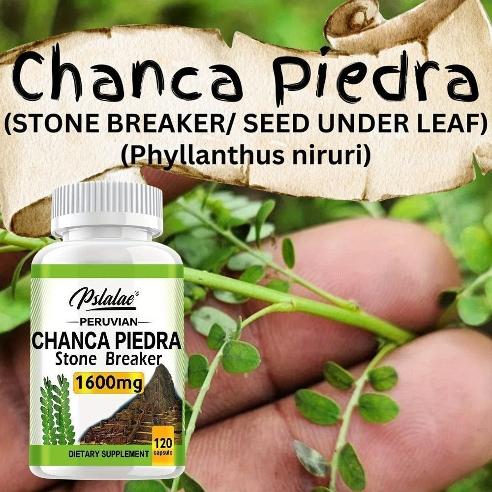 Chanca Piedra Capsules for Liver & Kidney Health, 120 Capsules Natural Urinary Tract Support Supplement — image 6