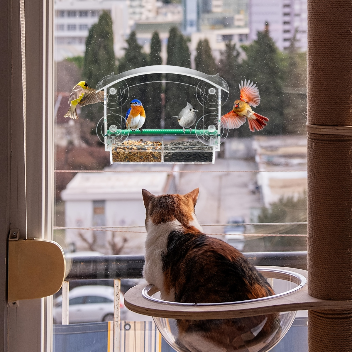 Window Bird Feeder - Clear Acrylic Suction Cup Bird Feeder for Birdwatching — image 4