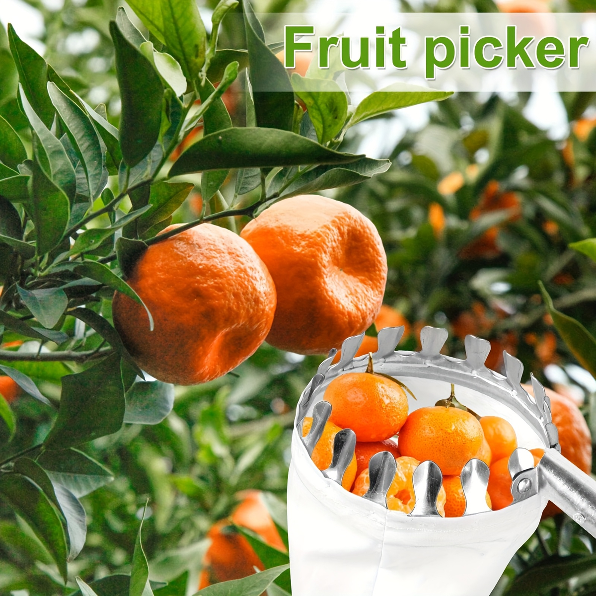 Stainless Steel Fruit Picker with Adjustable 63 to 157 Inch Extension Pole and Non-Slip Handle for Orchard Harvesting — image
