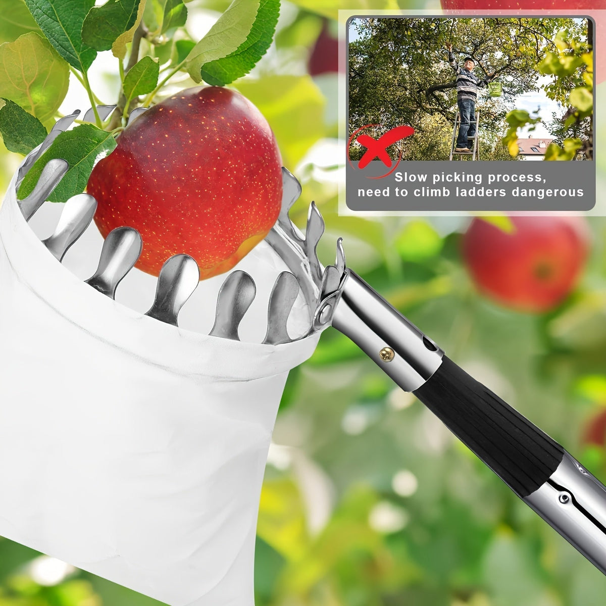 Fruit Picker | Telescoping Pole with Basket Apple Mango Orange Tree — image 3