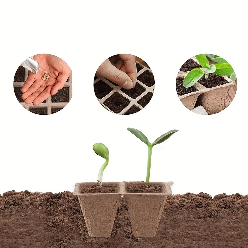 Peat Pots Seed Starter 100pcs Square Biodegradable Paper | Germination Trays with Peat Substrate for Herbs Cacti Flowers | In