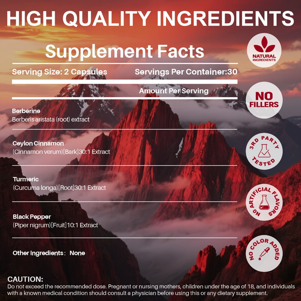 Berberine with Ceylon Cinnamon, Turmeric & Black Pepper, Premium Blood Sugar Support, Vascular Health & Digestive Wellness Ca