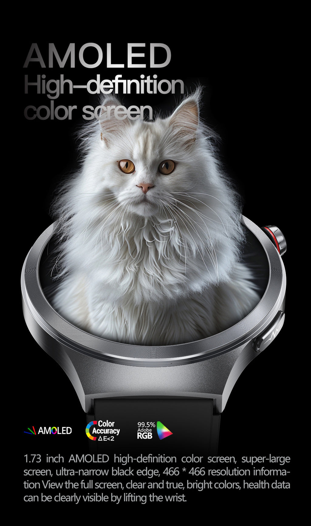 Smart Watch AMOLED Screen ECG Heart Rate Pressure Blood Oxygen Health