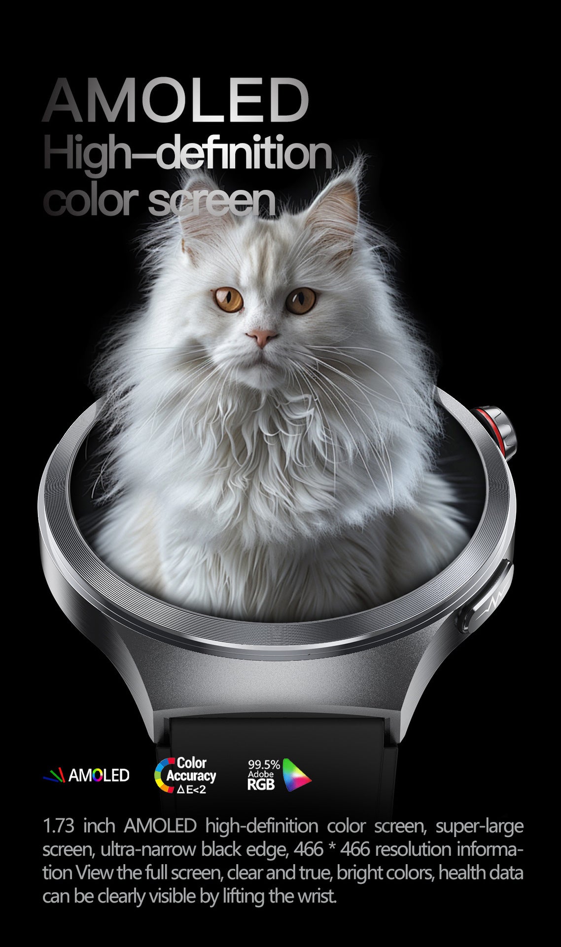 Smart Watch AMOLED Screen ECG Heart Rate Pressure Blood Oxygen Health