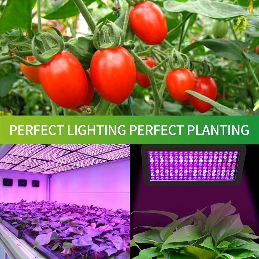 LED Grow Light 1000W Full Spectrum, Dual-Switch Plant Light for Veg & Bloom, Hydroponic Hanging Grow Lamp for Indoor Greenhou