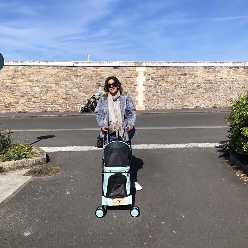 Compact Four-Wheel Pet Stroller with Dual Handles, Mesh Canopy, Lower Basket and Five Color Options — image 14