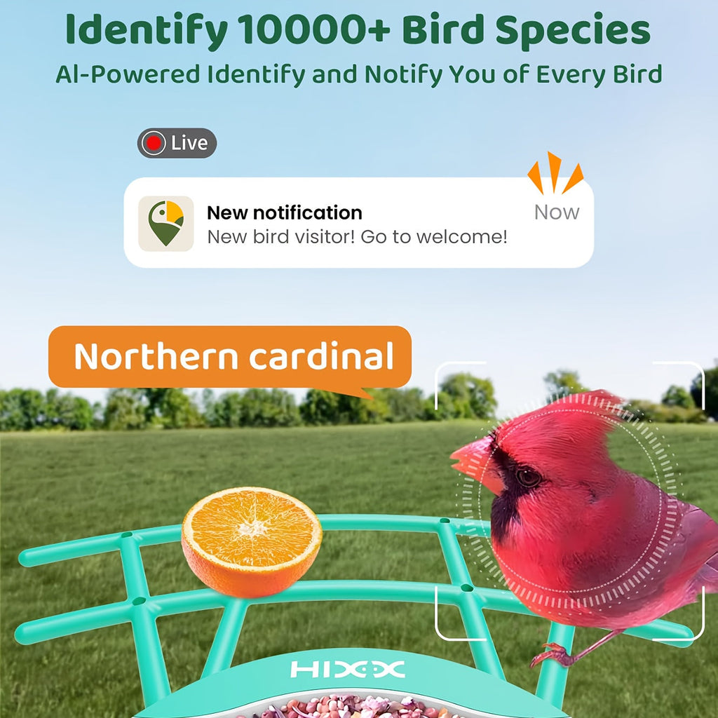 Smart Bird Feeder with Camera AI Bird Identification, 2K HD Live View, Auto Capture & Color Night Vision — image 2