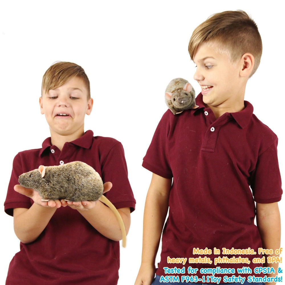 Plush Toy Reuben Realistic Brown Rat 7-Inch Stuffed Animal with Story Card for Character Display, Room Decor and Gift Present