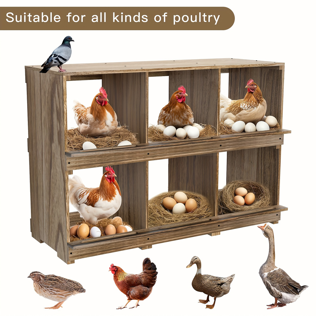 Chicken Nesting Box Wall Mount 4 Compartment Easy Egg Collection — image 9