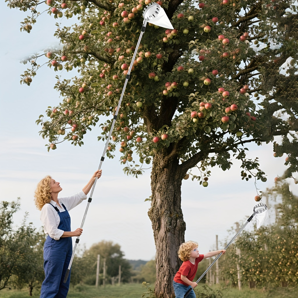 Stainless Steel Fruit Picker with Adjustable 63 to 157 Inch Extension Pole and Non-Slip Handle for Orchard Harvesting — image