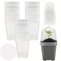 Clear Nursery Pots 3 Inch with Humidity Dome Lids 30pcs | Stackable Seed Starter Pots | Built-In Labels | Succulents Seedling