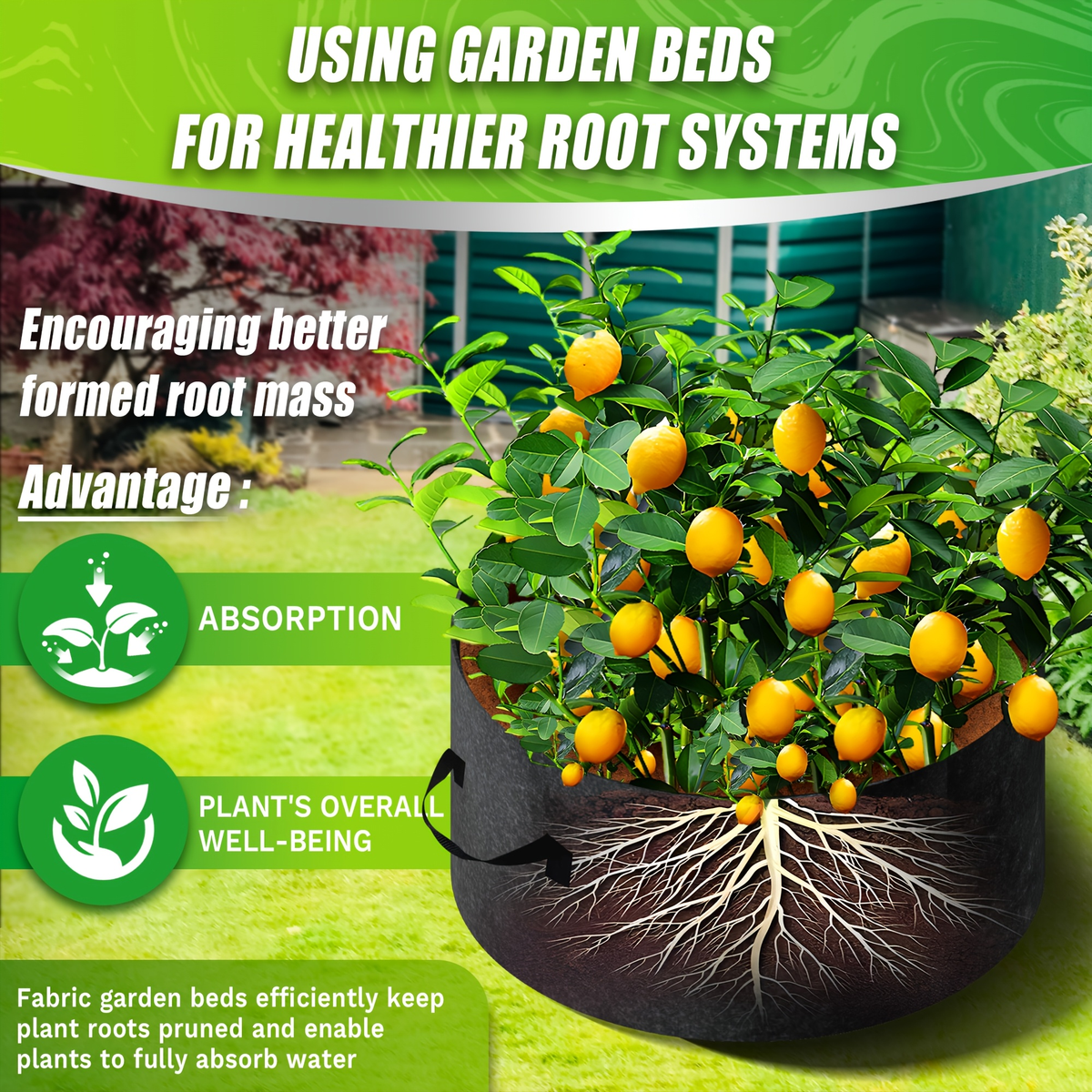Round Divided Fabric Raised Grow Bed with Handles in 24-, 36-, 48- or 60-Inch Diameter Options — image 11