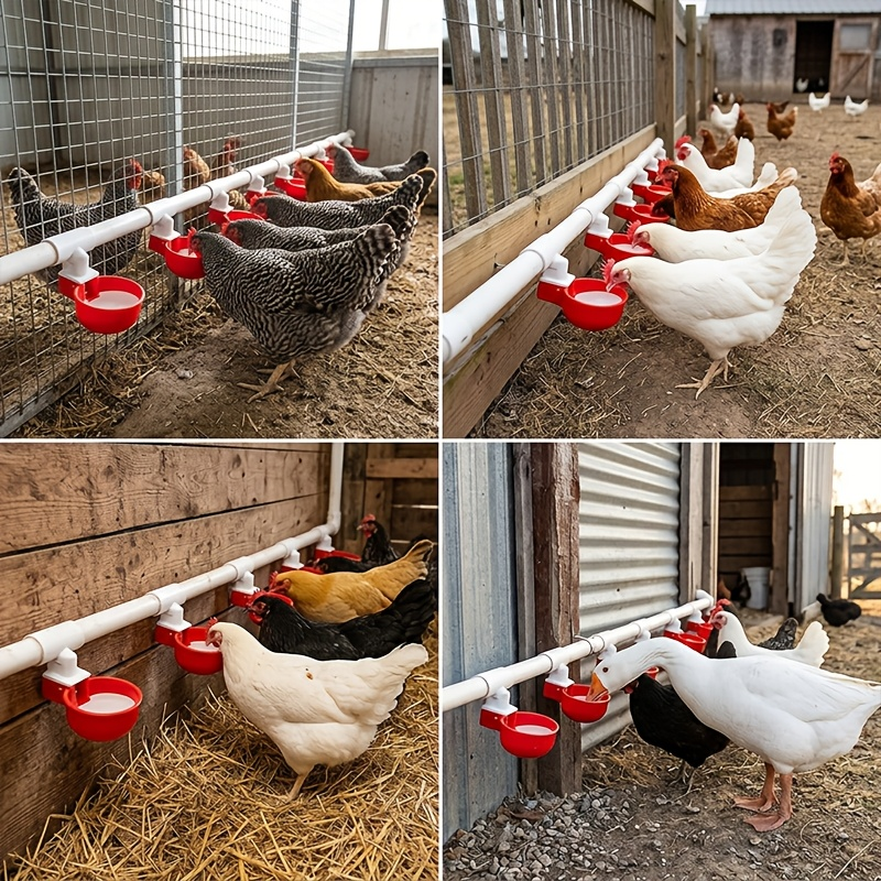 Automatic Poultry Watering System Kit with 10 Red Cups, PVC Pipe Fittings, Regulator and Hose Connections — image 8