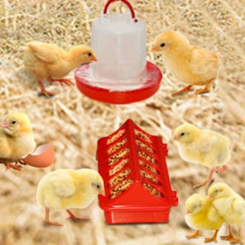 Chicken Brooder Tent Bundle, Chick Playpen Feeder Waterer Perch Kit for Garden, Patio and Yard Use — image 8
