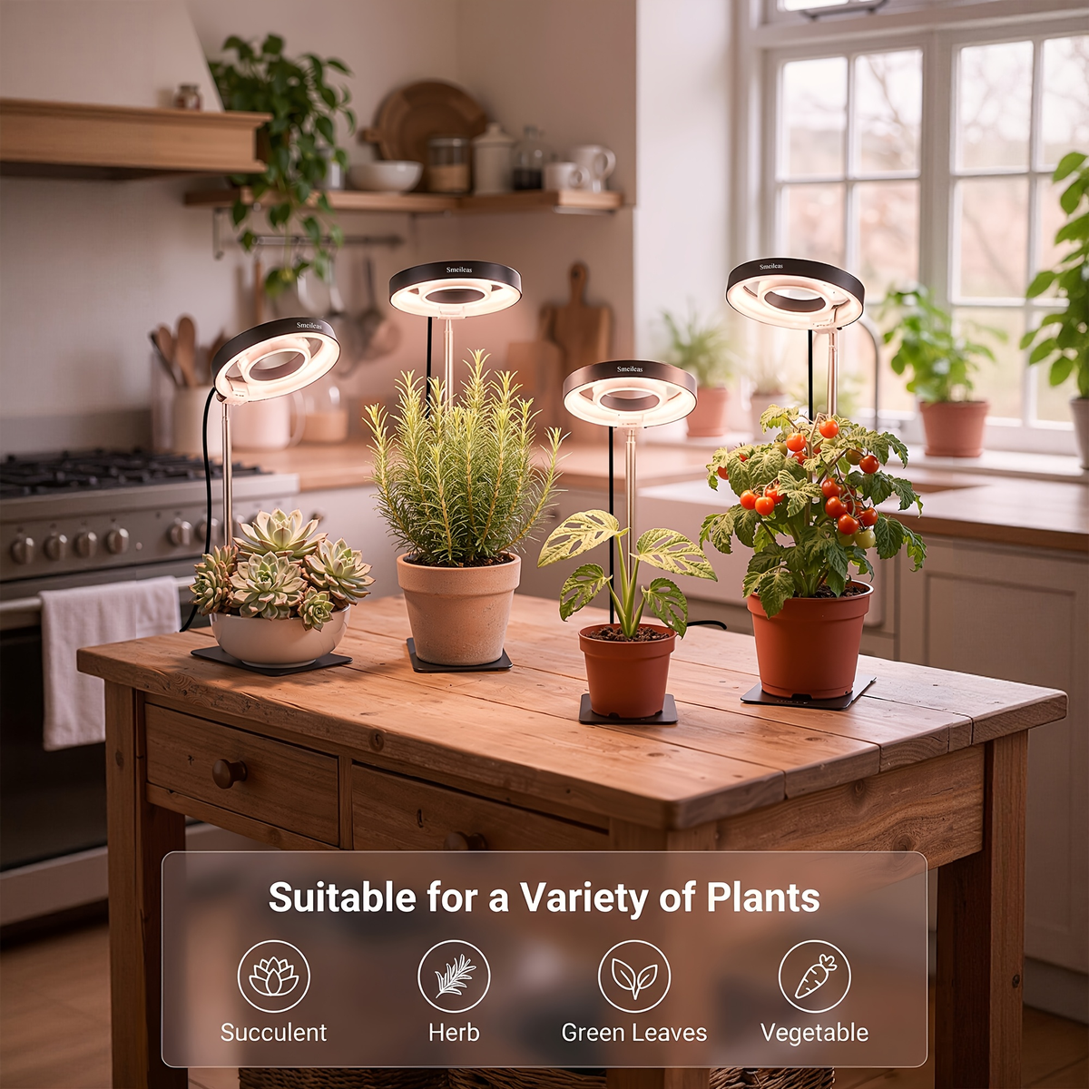 Four-Piece Tabletop Ring LED Plant Lamp Set with USB 3/6/9H Timer, Adjustable Poles and Bases — image 10
