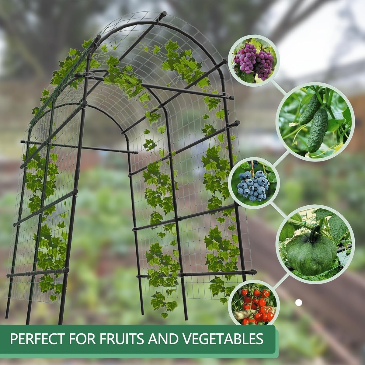 Garden Trellis with Seven-Foot Arch and PE-Coated Steel Frame, Climbing Plant Support for Vegetable Beds — image 10