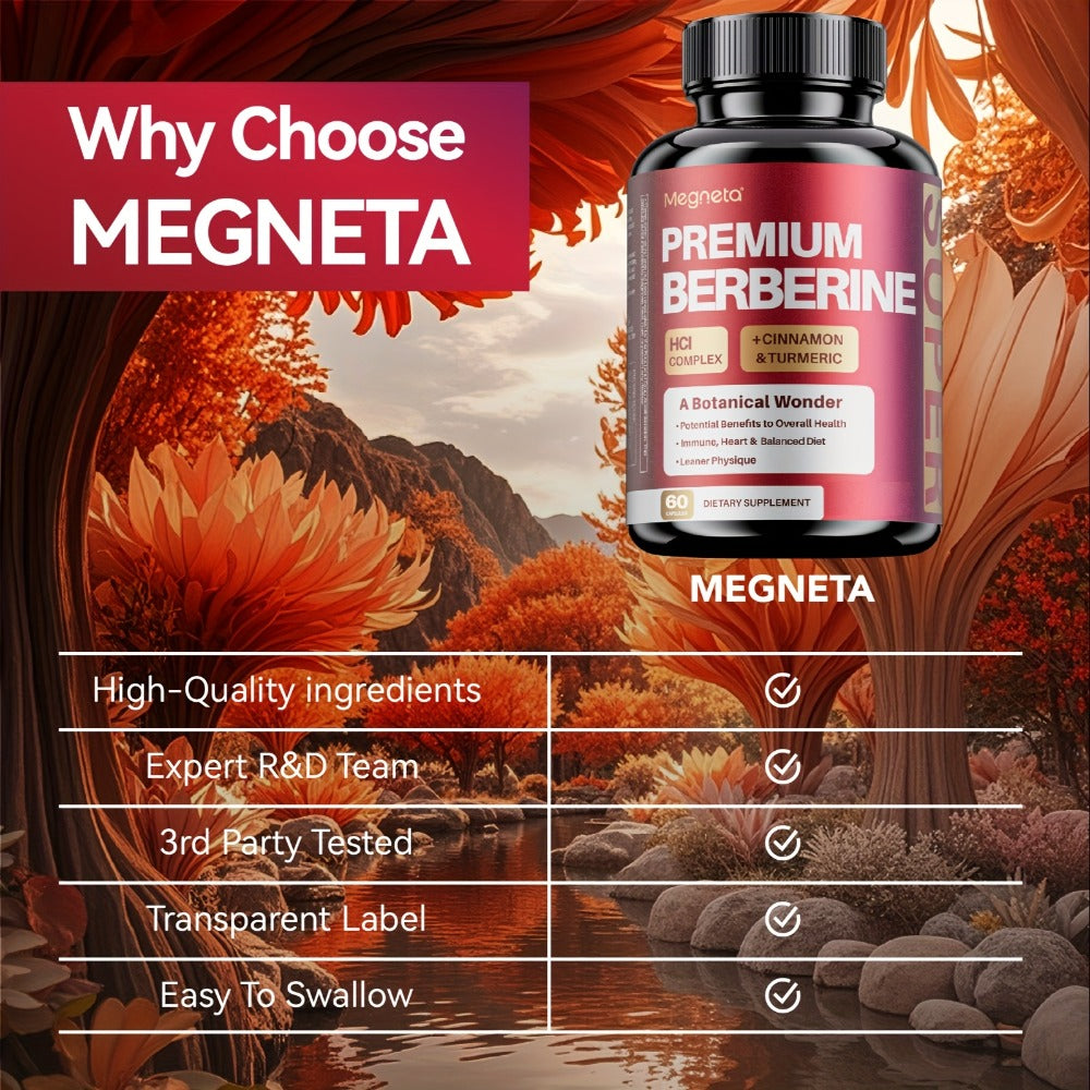 Berberine with Ceylon Cinnamon, Turmeric & Black Pepper, Premium Blood Sugar Support, Vascular Health & Digestive Wellness Ca