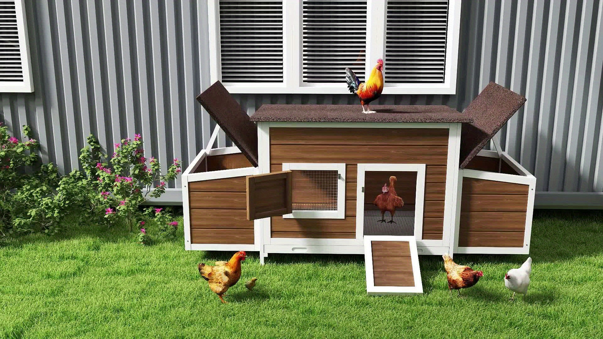 Wooden Hen House with 67in Frame, Two Nest Boxes, Ramp and Gray or Brown Two-Tone Outdoor Finish — image 14