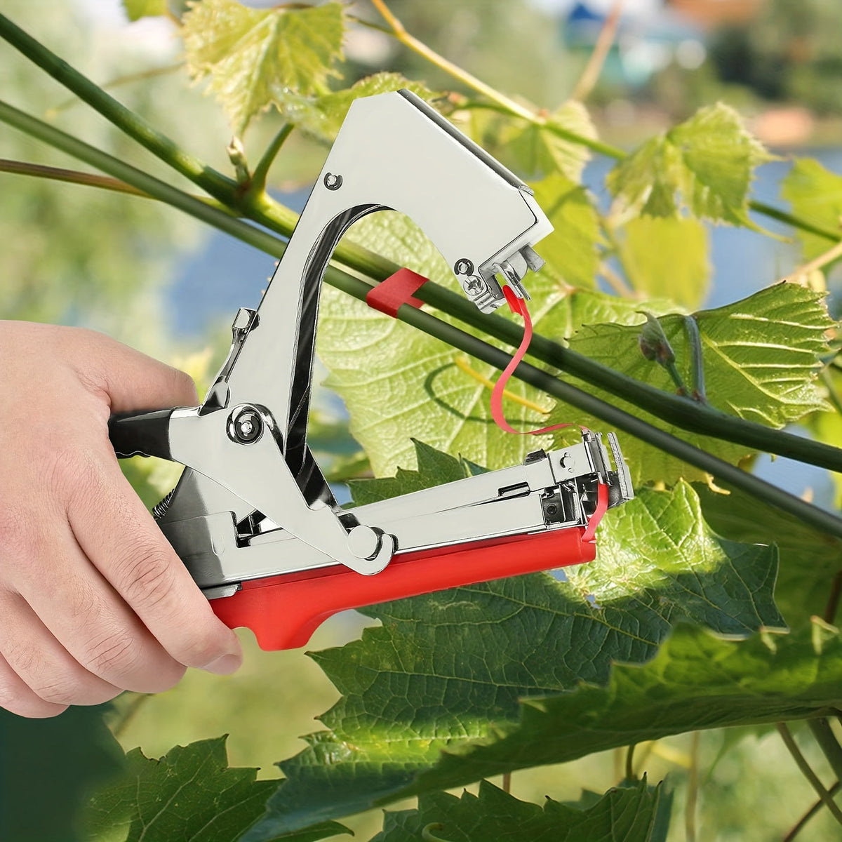 Plant Tapener | Garden Tying Machine Tape Rolls Vine Tomato Grape — image 1