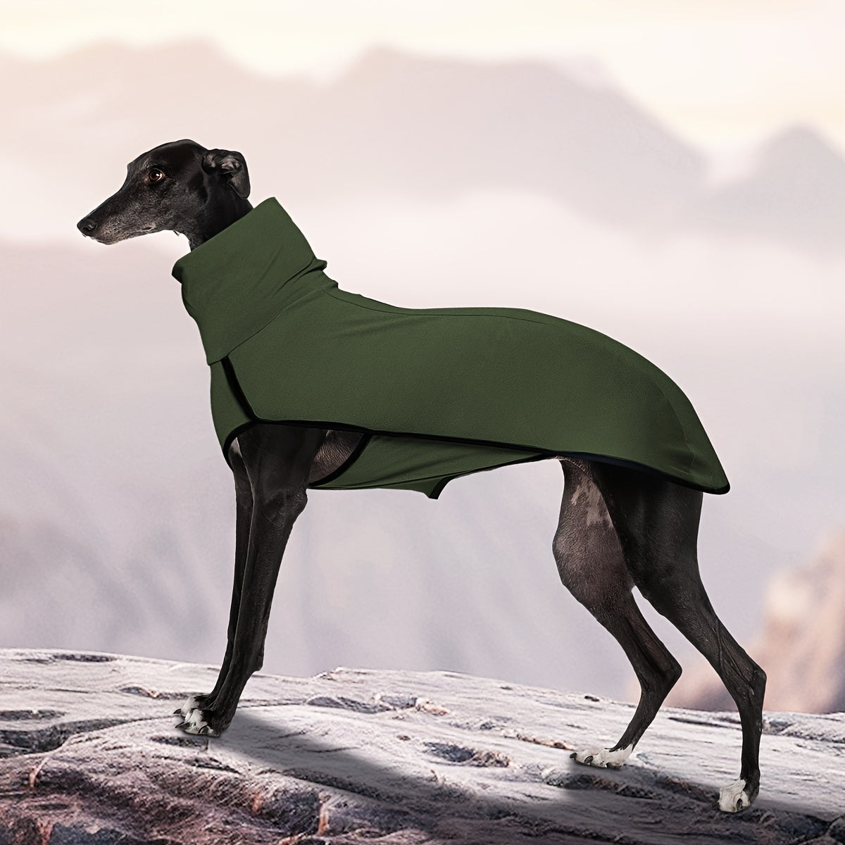High-Neck Pullover Dog Coat in Burgundy, Navy or Fern Green with Selected XL Through 4XL Sizes — image 21