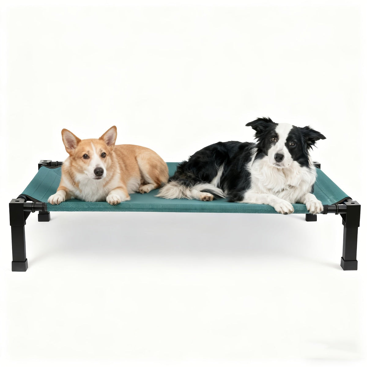 Elevated Mesh Dog Cot Bed with Folding-Leg Frame, Seven Colors and Four Labeled Sizes from 35 to 60 Inches — image 16