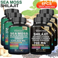 Sea Moss and Shilajit Capsule Supplements in 60-Count Bottles with One- to Six-Bottle Options — image 20