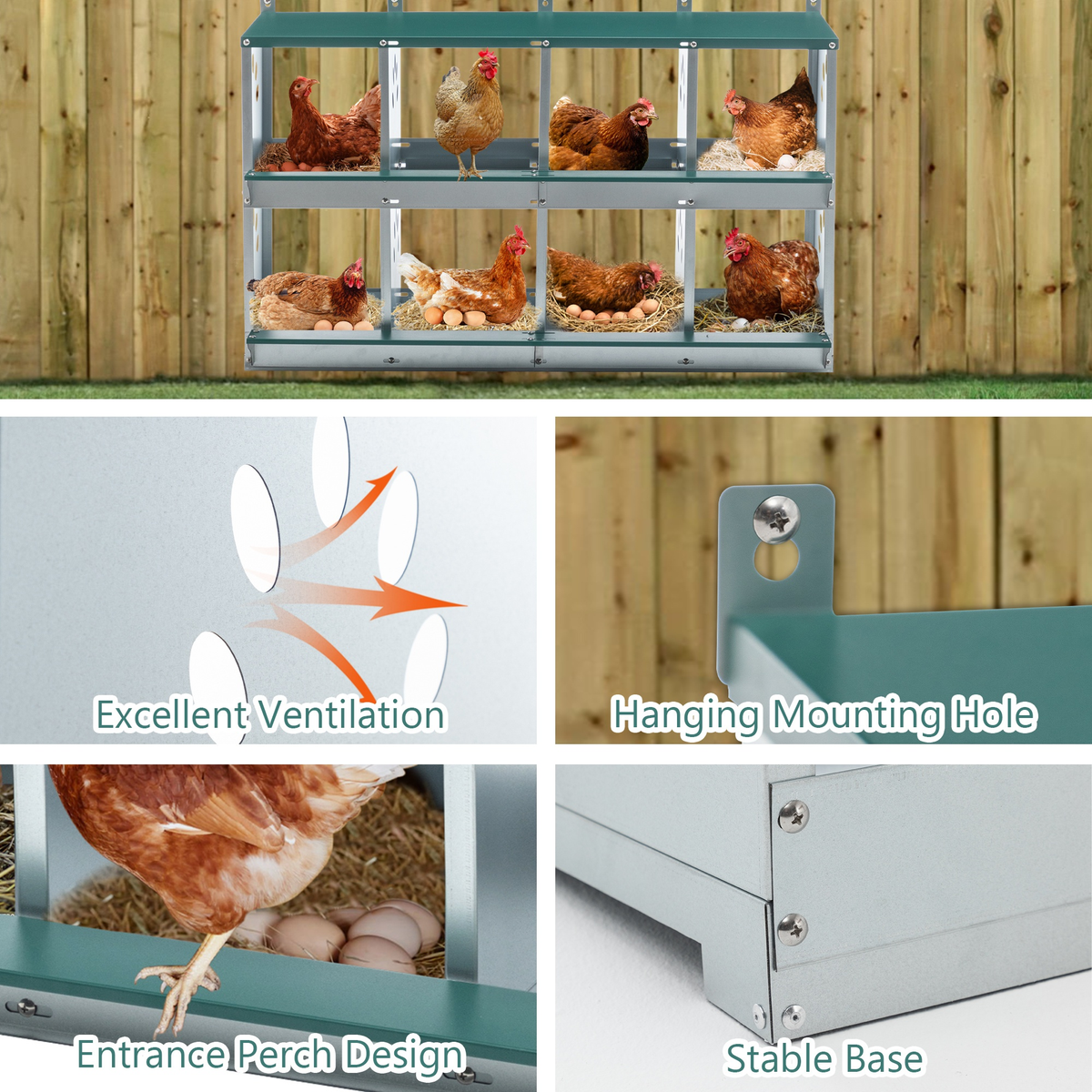 Metal Chicken Nesting Box Galvanized Steel 3-10 Compartment Roll-Away — image 19