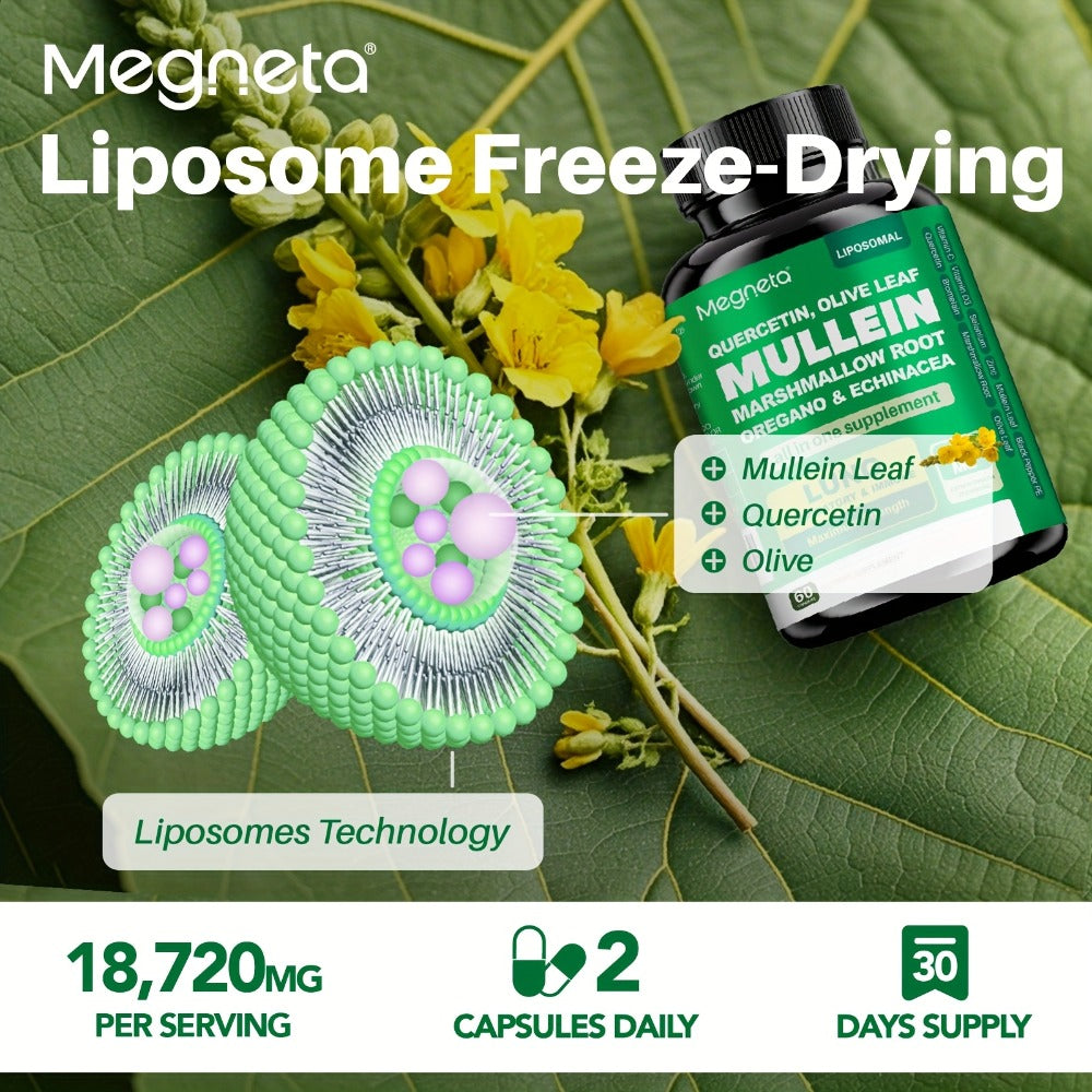 Mullein Leaf Lung Health Supplement with Quercetin, Bromelain, Vitamin C & D3, Zinc & Selenium — image 6