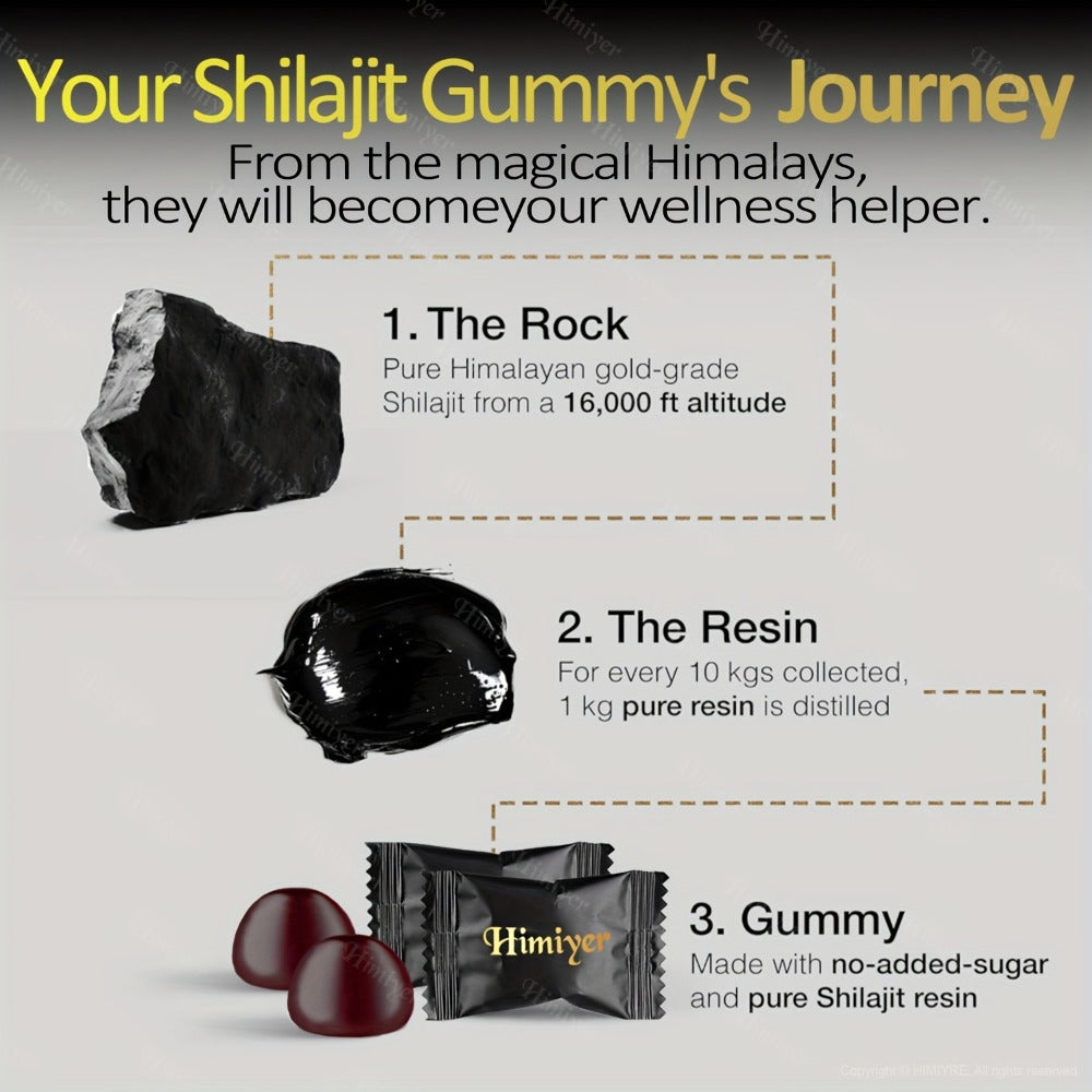Shilajit Supplement 3000mg with Ginger, Ginseng & Ashwagandha – Pure Fulvic Acid & Multi-Mineral Phytonutrient Formula for En