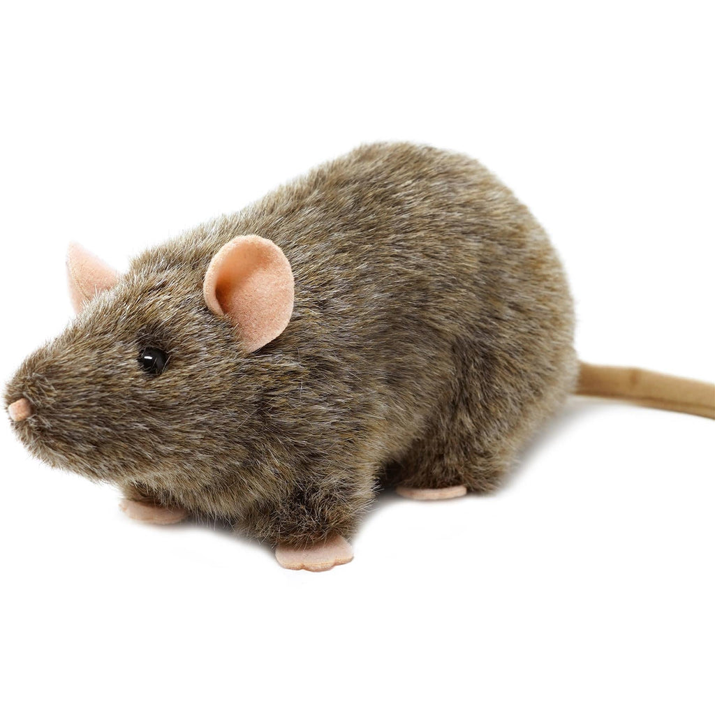 Plush Toy Reuben Realistic Brown Rat 7-Inch Stuffed Animal with Story Card for Character Display, Room Decor and Gift Present