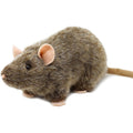 Plush Toy Reuben Realistic Brown Rat 7-Inch Stuffed Animal with Story Card for Character Display, Room Decor and Gift Present